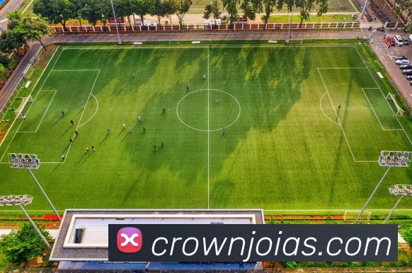 皇冠crown体育平台服务体系